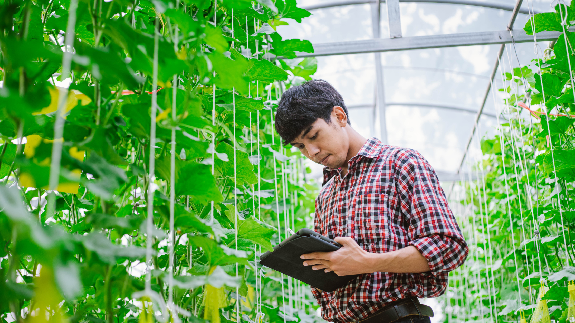 Turning Data into Decisions That Grow with Agriculture Market Research
